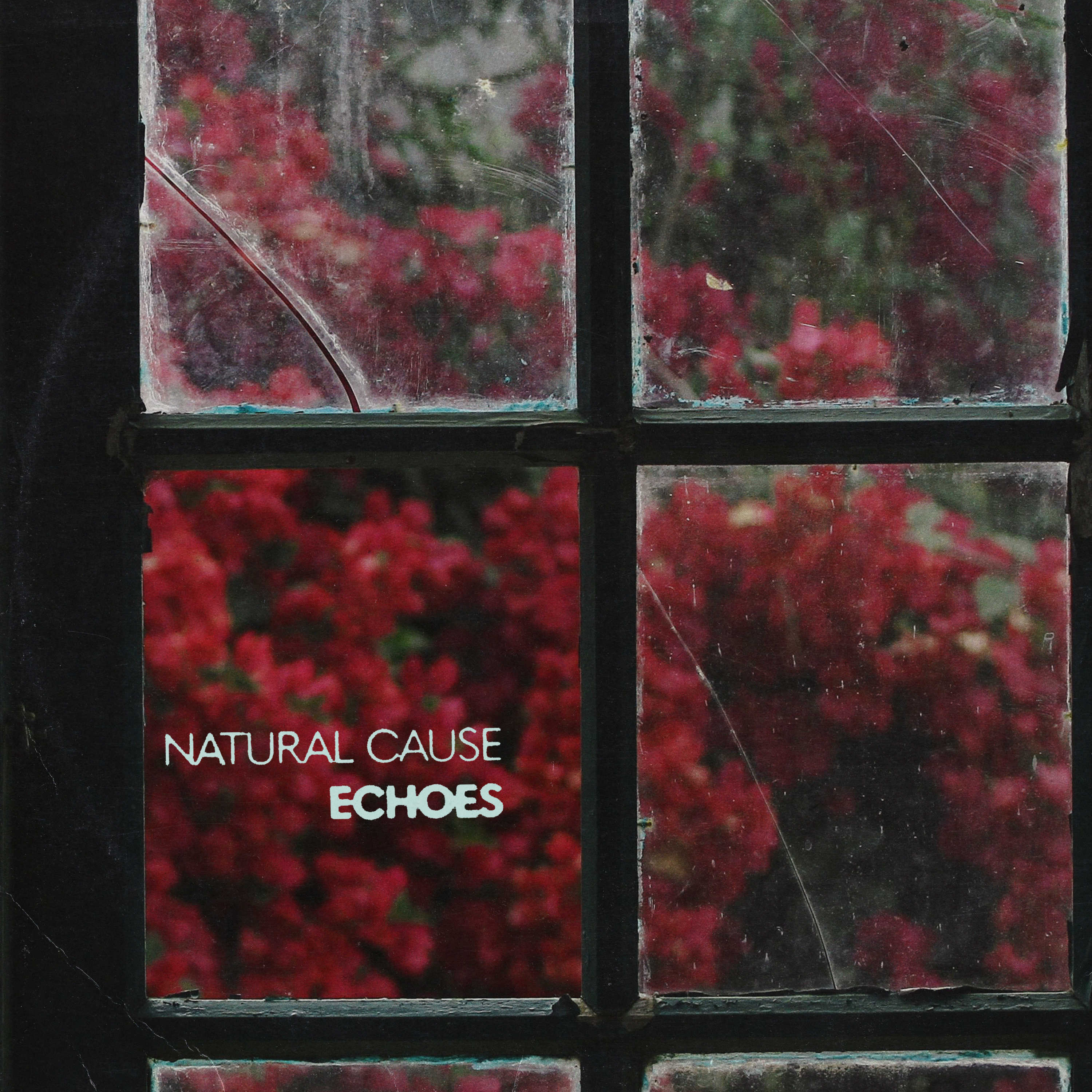 echoes